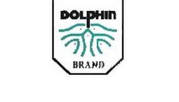 Dolpnin_logo8