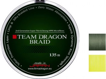 team-dragon-braid